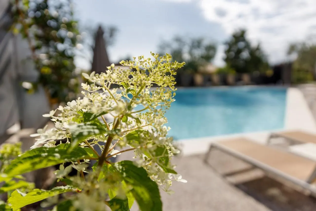 Art Hotel Ventaglio Bardolino 3*,